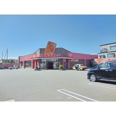 ハセガワストア中道店