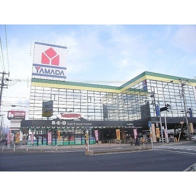 ヤマダ電機