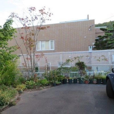 敷地内の植栽も豊富