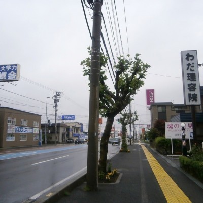 物件写真 17