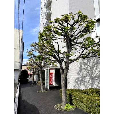 物件写真 27