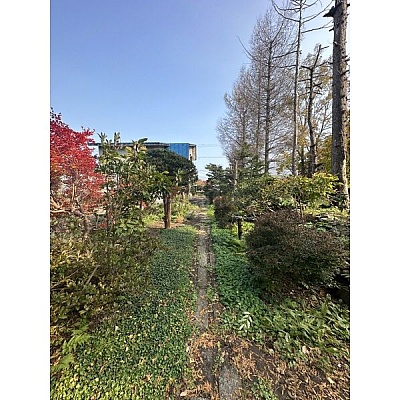 物件写真 22