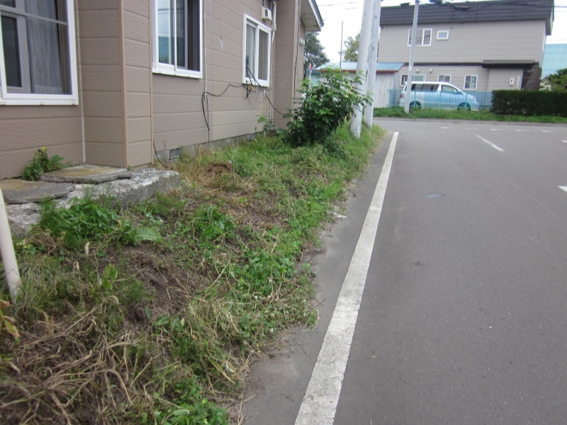 側面道路側は法面になっています