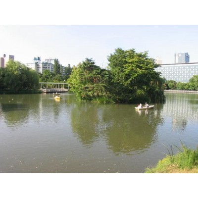 中島公園まで878m