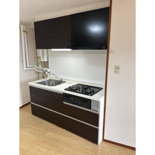 コンロと吊戸棚を備えたキッチン