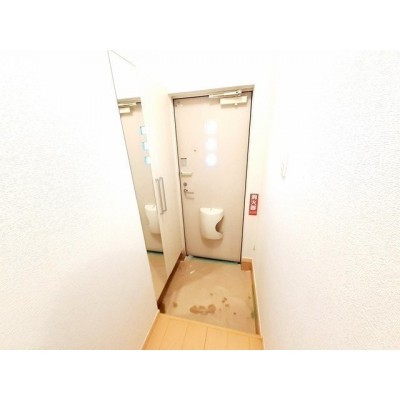 落ち着いた玄関です