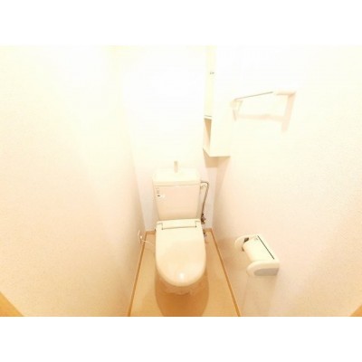 落ち着いた色調のトイレです