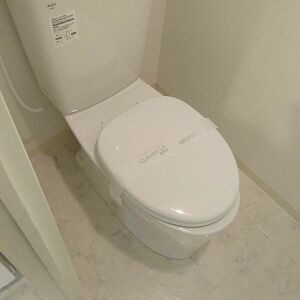 水洗トイレ