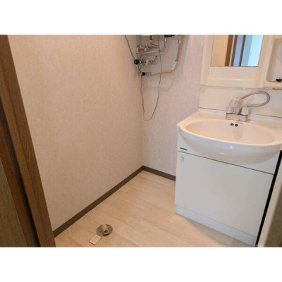 独立洗面台と室内洗濯機置場