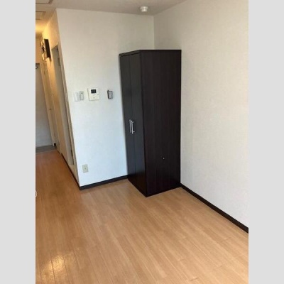 入口側から見た室内と収納。