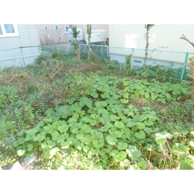 物件写真 26