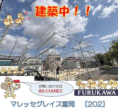 マレッセグレイス富岡 【202号室】