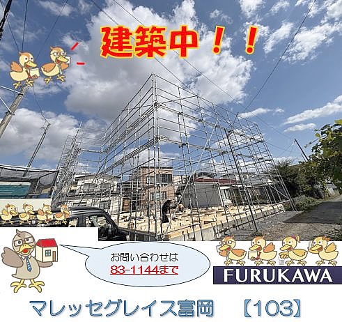 マレッセグレイス富岡 【103号室】