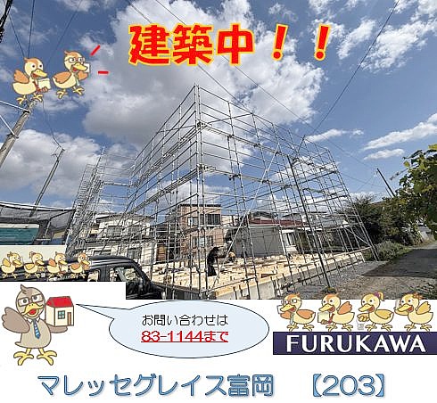 マレッセグレイス富岡 【203号室】
