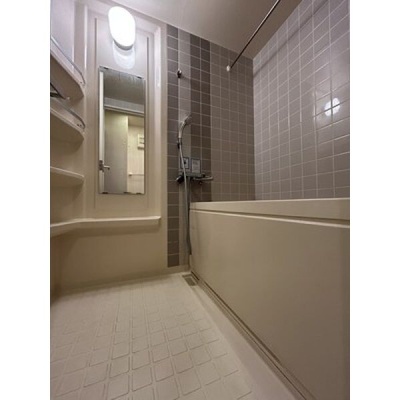 バス・トイレ別の浴室。洗い場と浴槽を備えています。