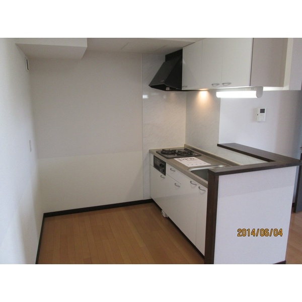 室内参考写真：対面式システムキッチン
