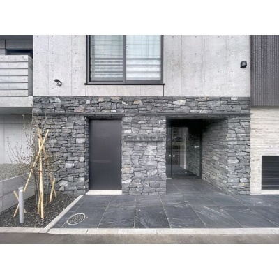 建物入口。植栽を配したエントランスです。