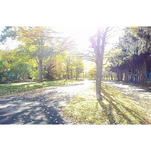 屯田西公園