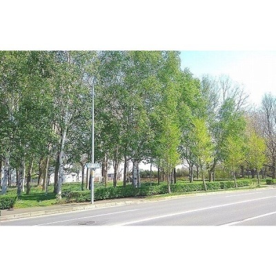 屯田西公園まで徒歩3分・約200m。