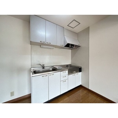 収納を備えたキッチン。調理台とシンクが横に並ぶつくりです。