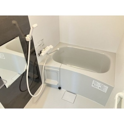 浴室の様子。シャワーと鏡を備えています。