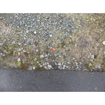 物件写真 14