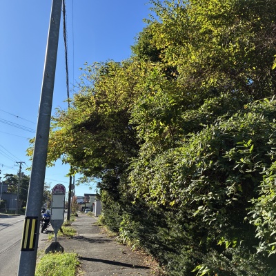 物件写真 10