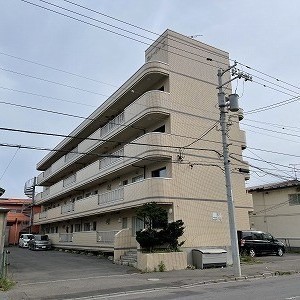 カメーリアⅡ