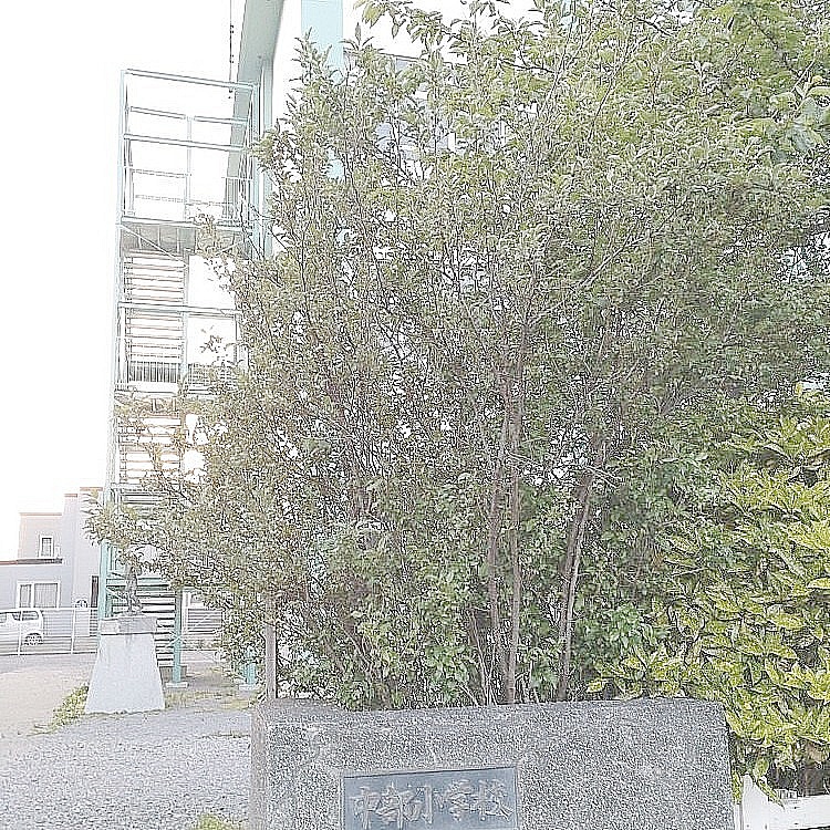 中部小学校前