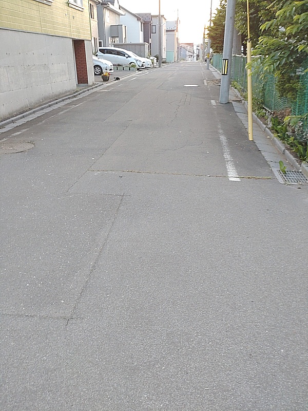 中部小学校から公園通　側へ