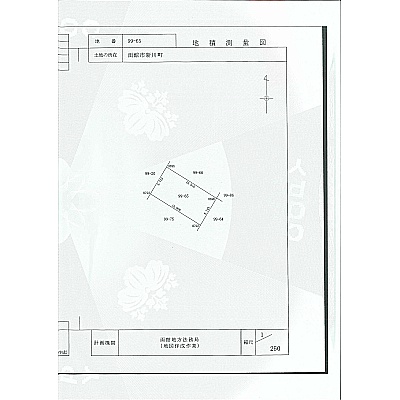 測量図　99-65