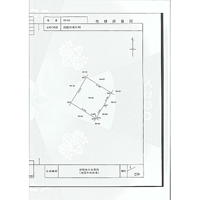 測量図　99-66