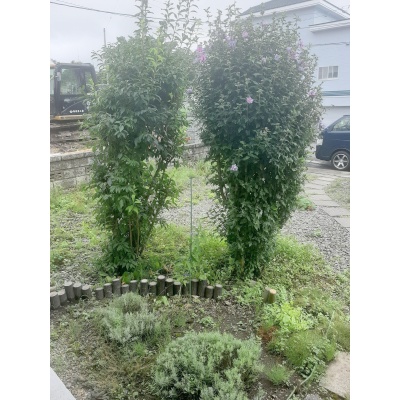 物件写真 22
