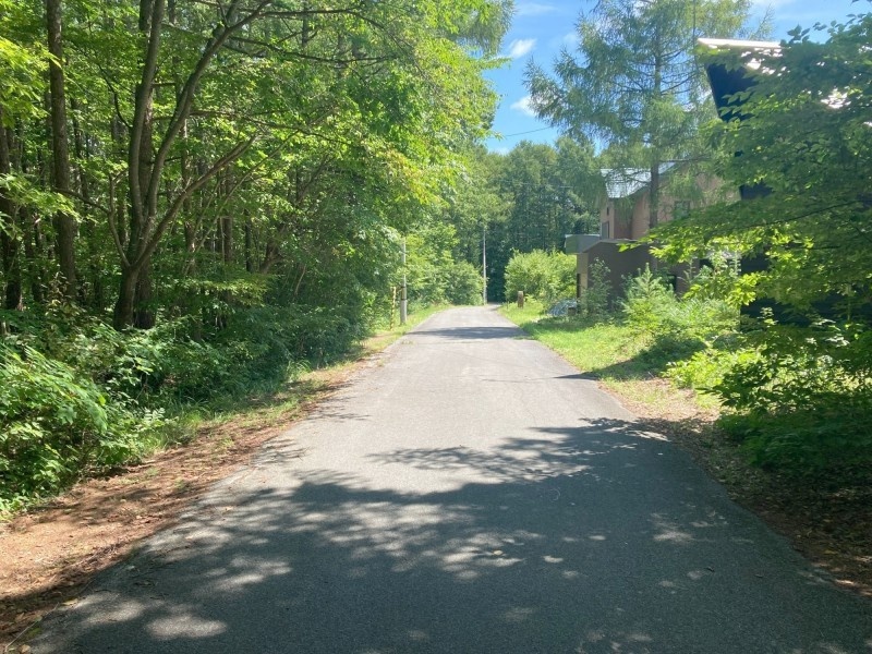 夏の道路！
