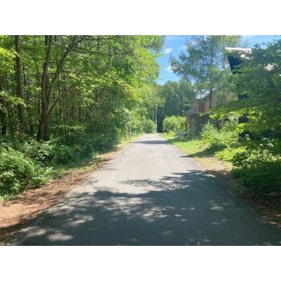 夏の道路！