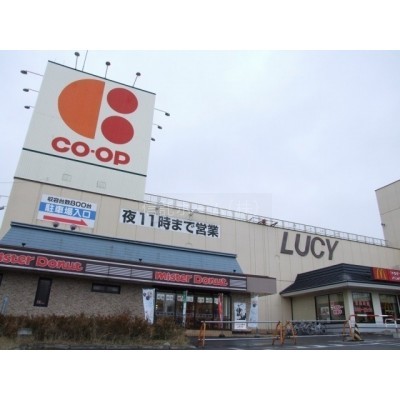 スーパー：コープさっぽろLucy店：810m