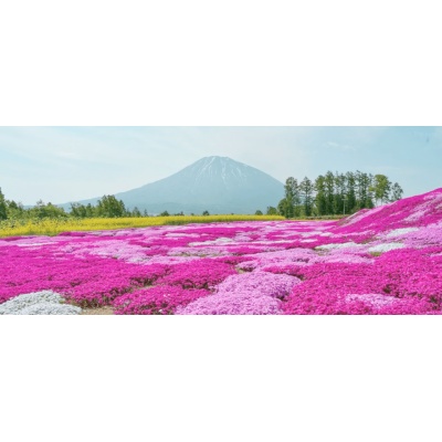 物件写真 11