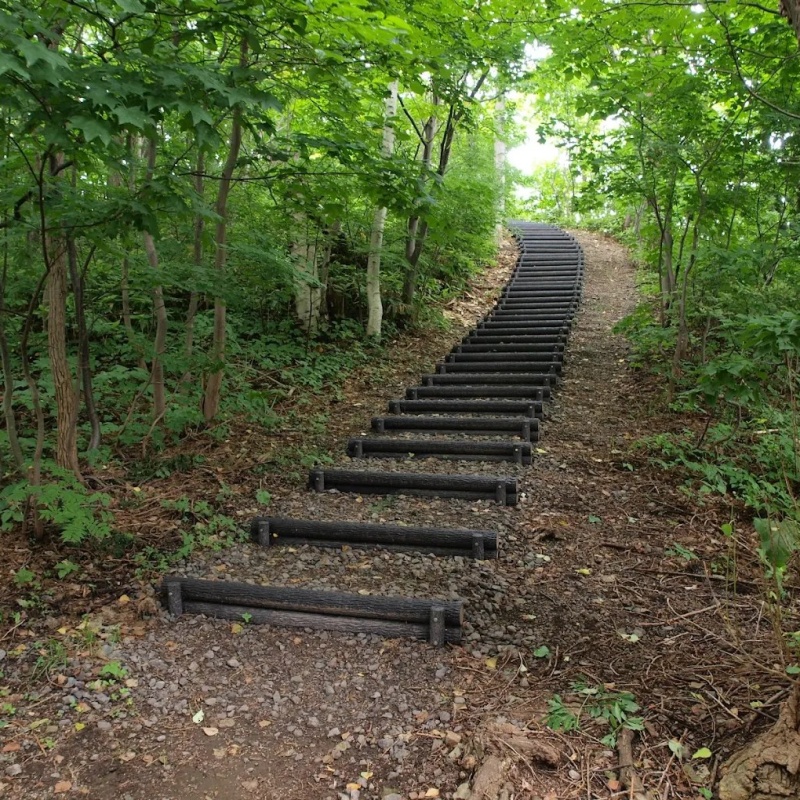荒井山緑地
