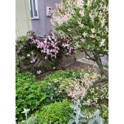 物件写真 23
