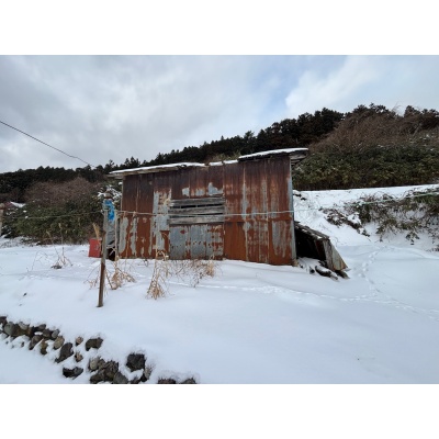 物件写真 12