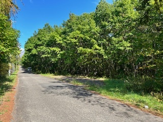 赤井川・土地 2筆(498㎡+499㎡)