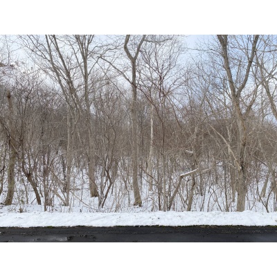 駒ヶ岳を望む絶景と爽やかな潮風。