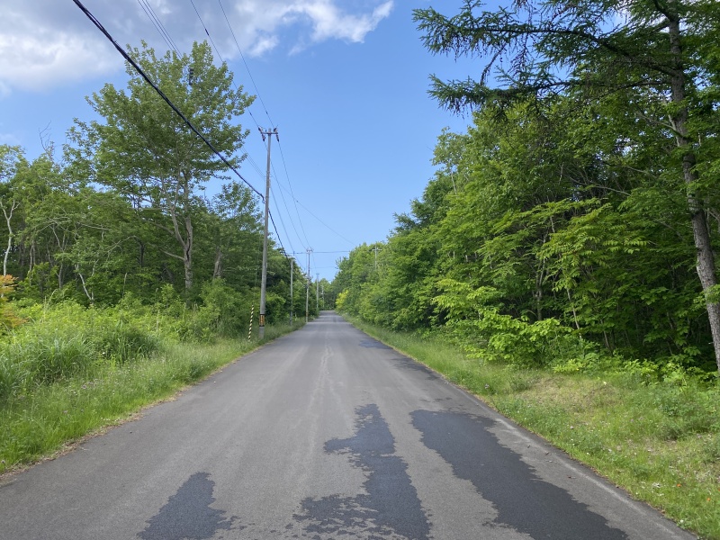 駒ヶ岳の麓に広がるロイヤルシティ鹿部リゾート内の土地！
