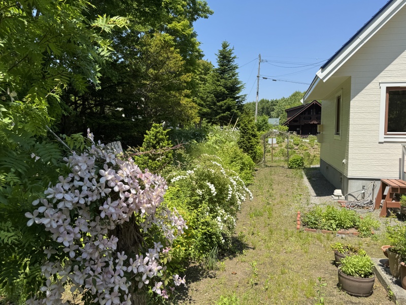 春花たちが主役の季節