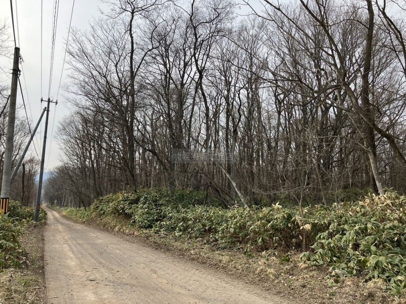 茅部郡森町字駒ヶ岳