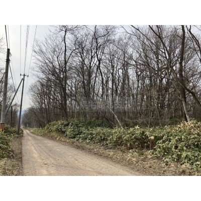 物件写真 1