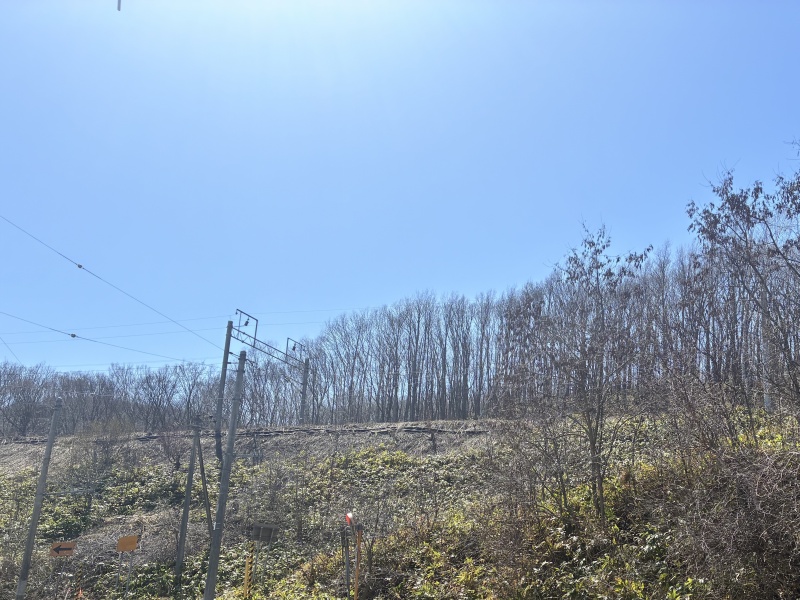 青葉町16丁目　205坪　土地