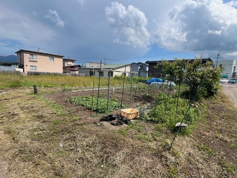 森町鳥崎 土地