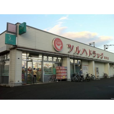 ドラッグストア：ツルハドラッグ真栄店：729m
