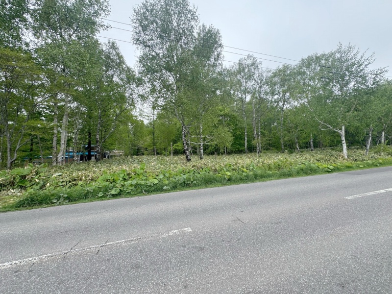 土地　倶知安町巽